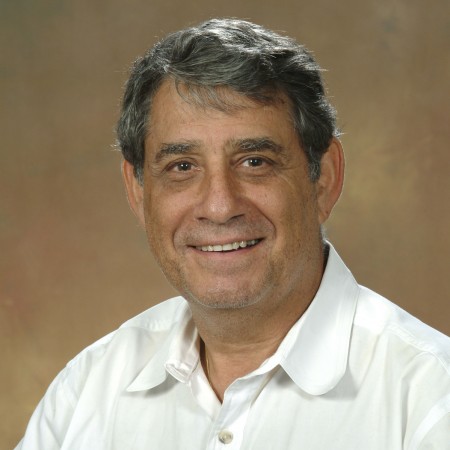 פיטר לוין
